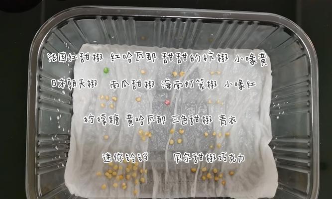 辣椒树催芽剂的正确使用方法与技巧