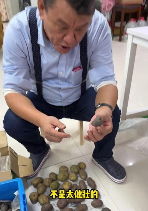 土豆用沙催芽怎么催