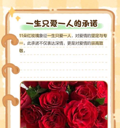 菠萝属于什么科？了解菠萝的植物分类学