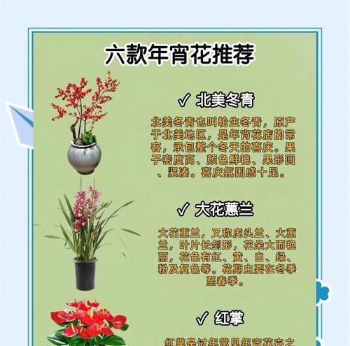 什么尾竹适合盆栽？尾竹的种类与养护要点