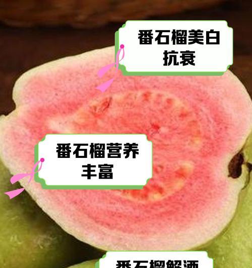 番石榴种植后怎么养殖方法：全面指导与技巧