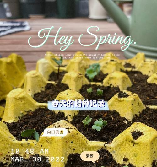 秋黄瓜怎么催芽最快