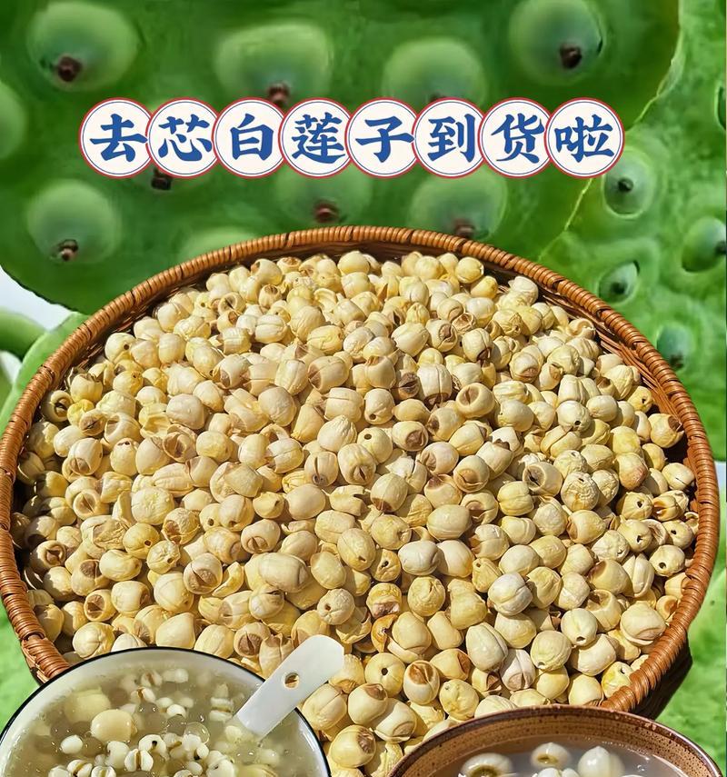 莲子大面积种植方法指南