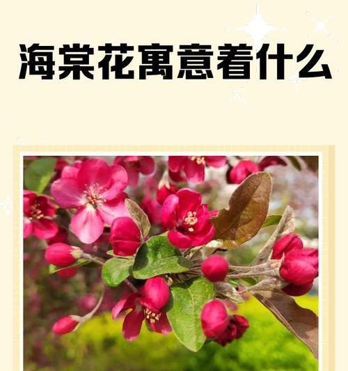 车厘子催芽素使用指南：高效催芽，提升种植效率
