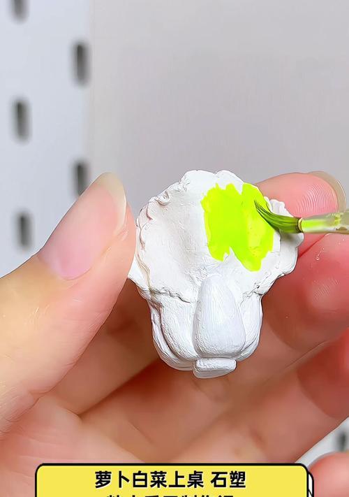 萝卜白菜怎么催芽