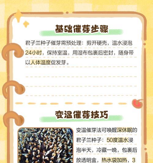 八月份种子怎么催芽