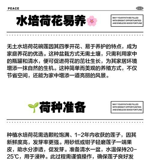 家养荷花怎么种植方法