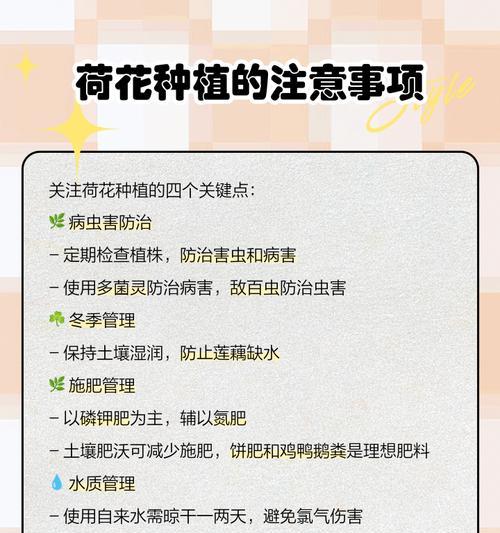 家养荷花怎么种植方法