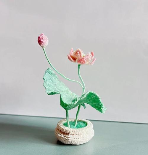 家养荷花怎么种植方法