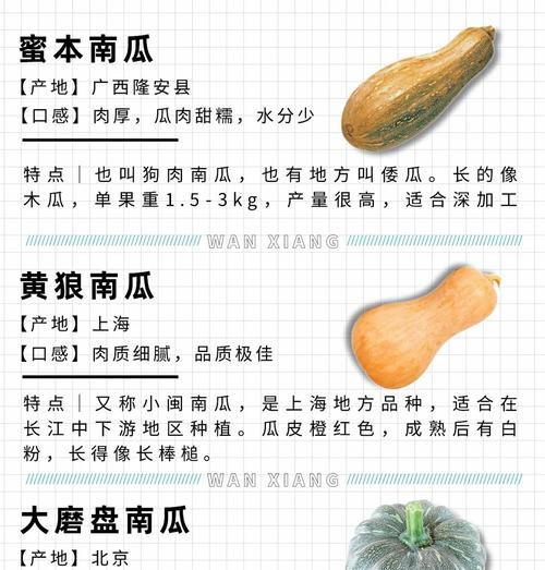 粟子瓜怎么种植方法