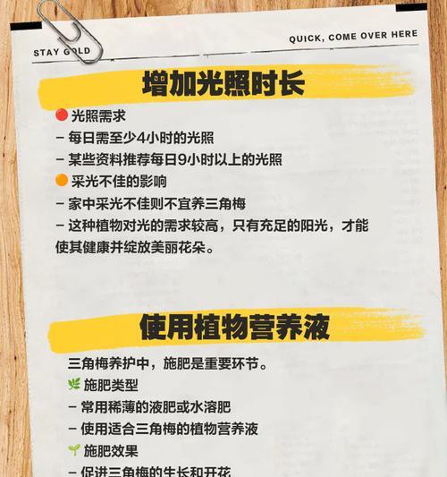 三角梅催芽后怎么修剪