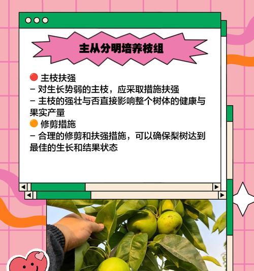 果树梨树怎么修剪枝条