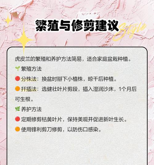 虎皮兰修剪指南：如何恰当修剪与护理您的“斑纹守护者”