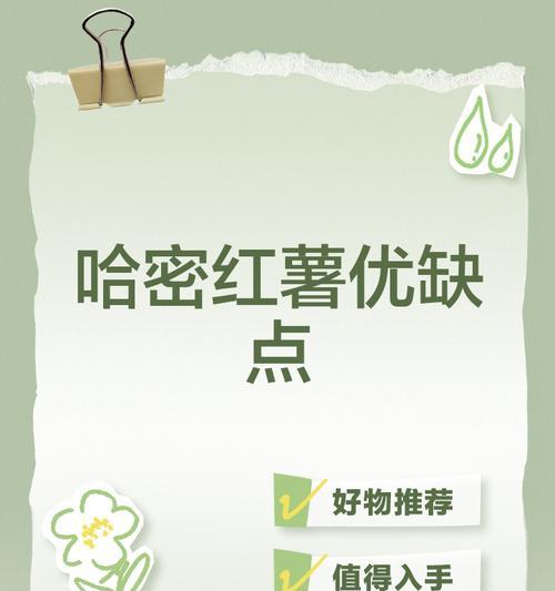 哈密种红薯怎么种植方法