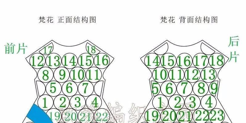 梵花象征着什么？梵花的含义和文化背景有哪些？