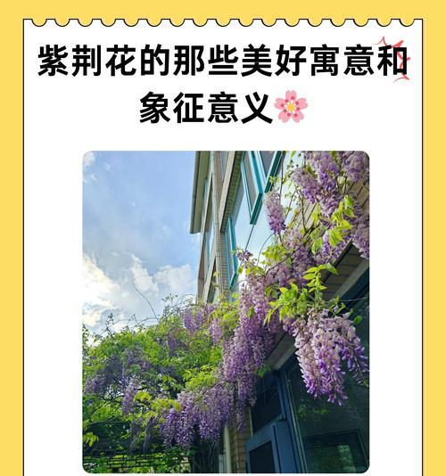 长树朱花的意义和象征是什么？如何解读其文化内涵？