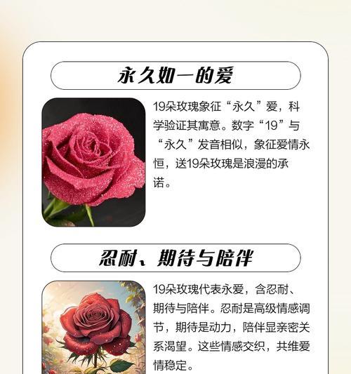 姑娘送束玫瑰花的寓意是什么？不同数量的玫瑰代表什么含义？