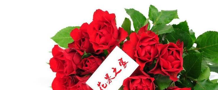花语信任的花语是什么？如何用花卉表达信任？