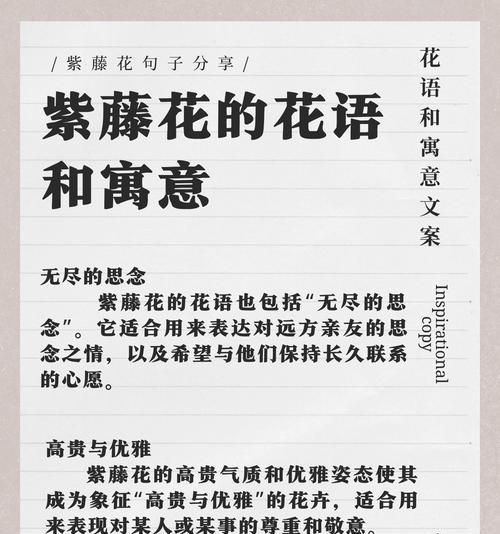 象征着我对你的思念是什么花？如何表达深情的花语？