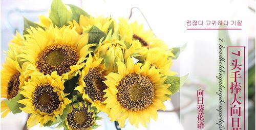 道具纯净花语是什么意思？如何正确理解道具纯净花语？