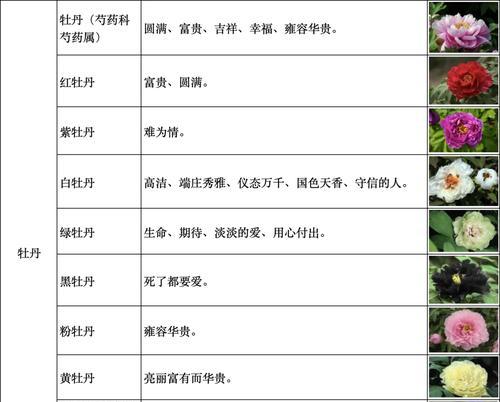 花语艺术是什么意思？如何理解花语艺术的深层含义？