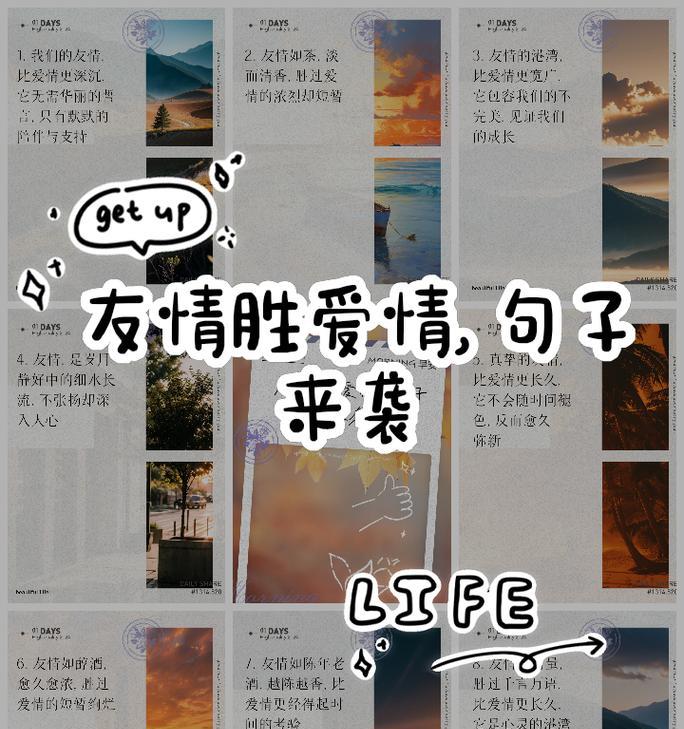 什么花语适合友情与爱情？如何选择表达友情和爱情的花朵？