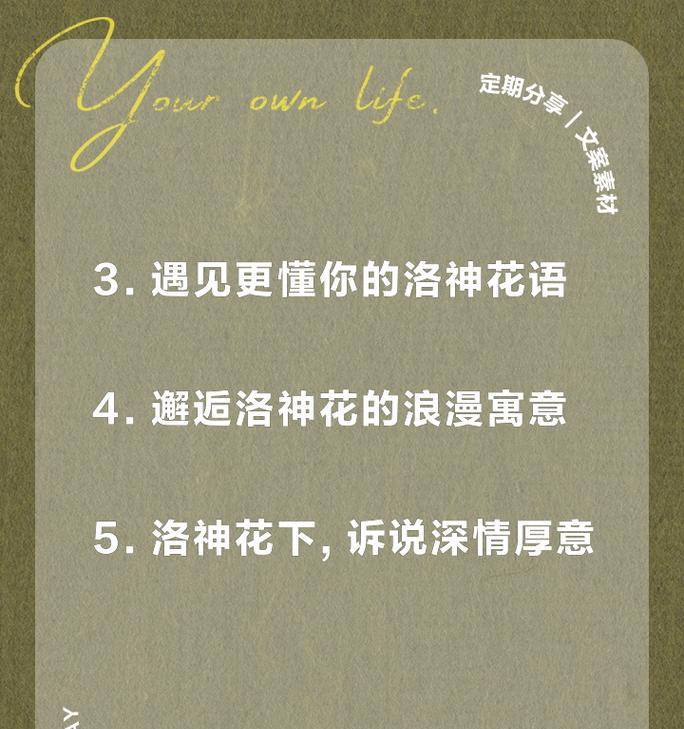 花的寓意或花语是什么？如何根据场合选择合适的花卉？