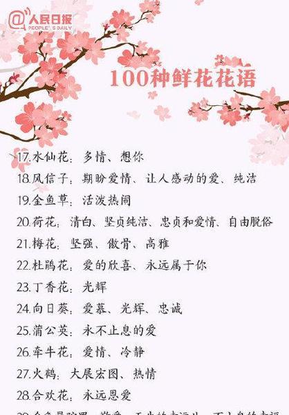 花的寓意或花语是什么？如何根据场合选择合适的花卉？