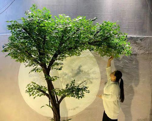 榕树花语是什么意思？如何理解榕树的象征意义？