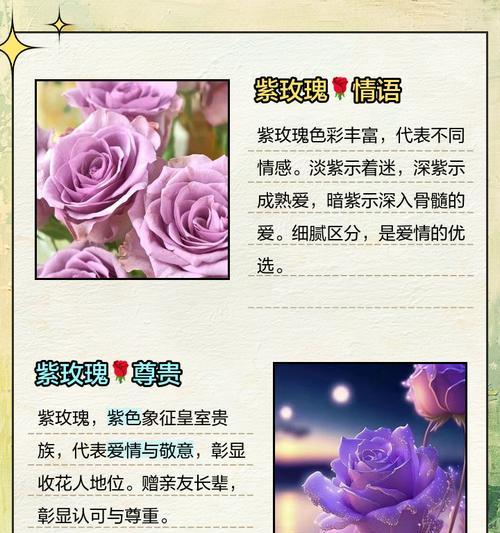 柴玫瑰的花语是什么？如何正确解读柴玫瑰的含义？