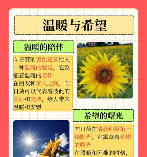留不住的花语是什么？如何理解花语的深层含义？