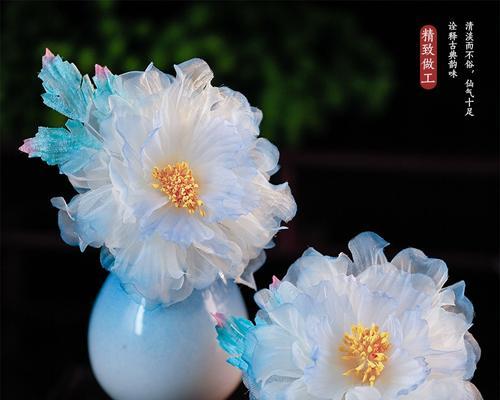 蓝白的花象征着什么？蓝白花卉的寓意有哪些？