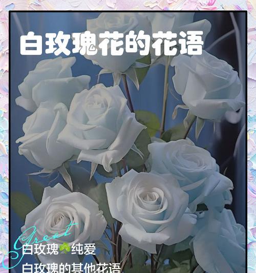世俗的花语是什么意义？如何解读日常花卉的深层含义？
