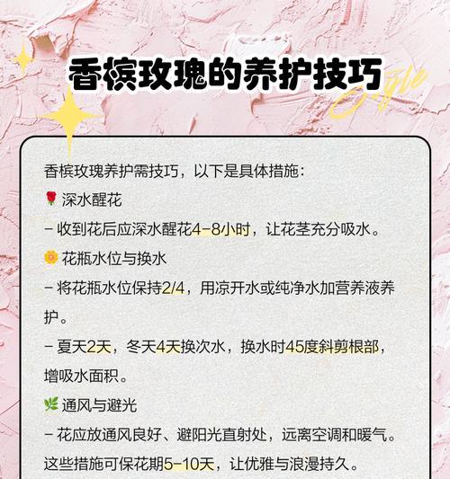 香槟玫瑰花的花语是什么？如何挑选寓意深刻的香槟玫瑰？