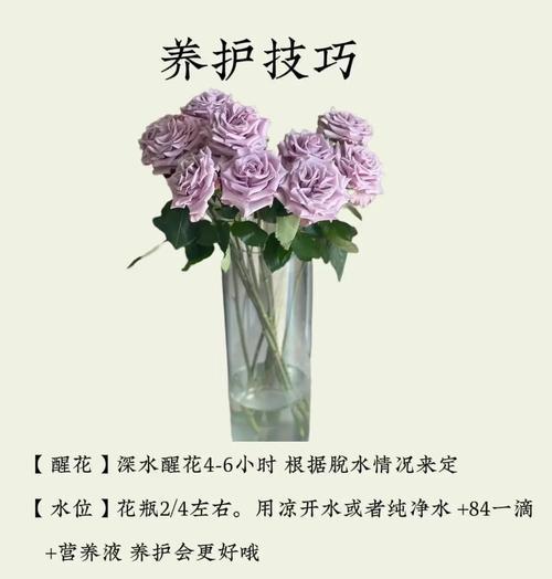德国恋人的象征花是什么？了解德国文化中的爱情符号？