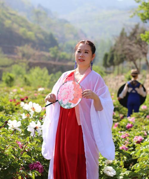 小米花花语是什么意思？如何解读小米花的花语含义？