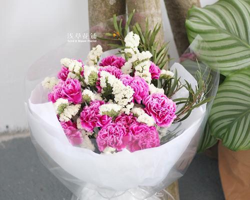 小米花花语是什么意思？如何解读小米花的花语含义？