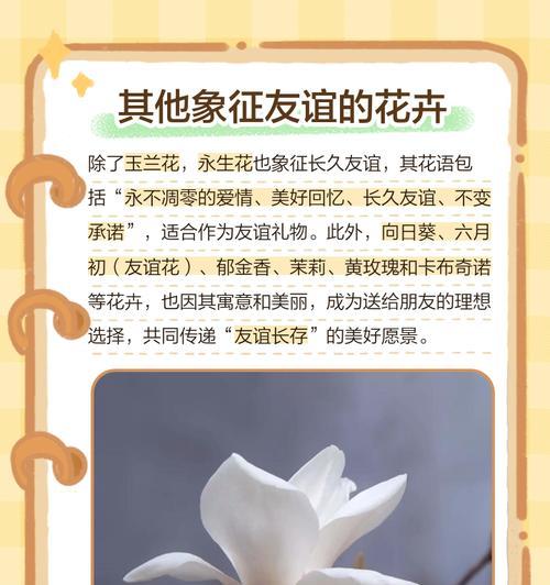 中秋节送什么花最有意义？花语背后的含义是什么？