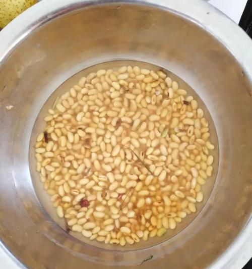 长豆子浇水应该遵循哪些正确方法？