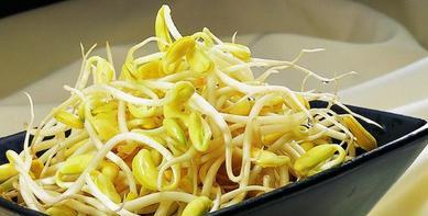 长豆子浇水应该遵循哪些正确方法？