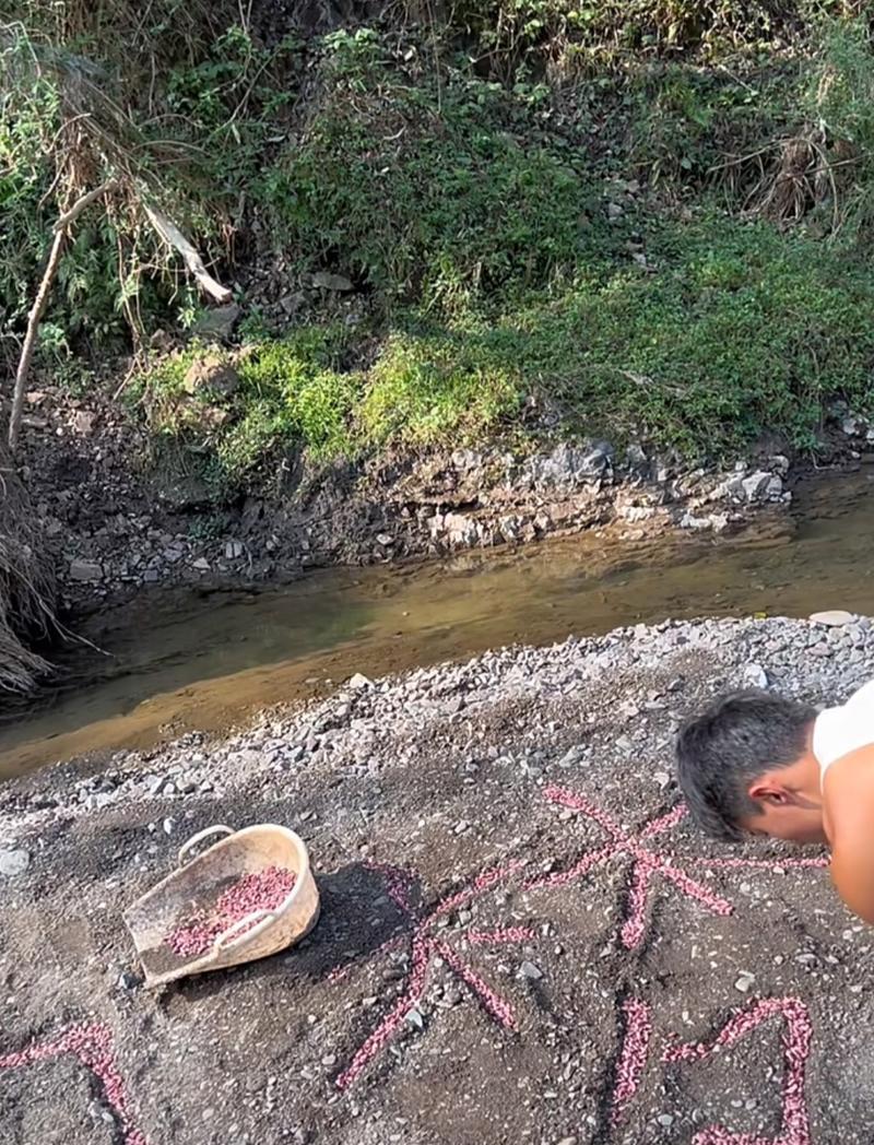 长豆子浇水应该遵循哪些正确方法？