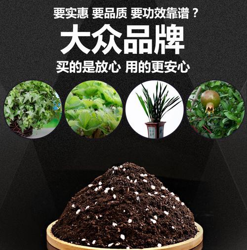 如何为盆栽配制自制土壤肥料？有哪些好处？