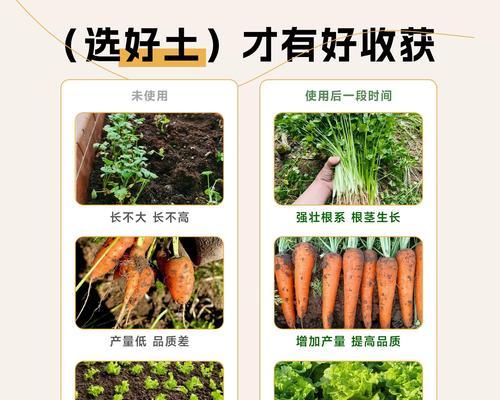 如何为盆栽配制自制土壤肥料？有哪些好处？