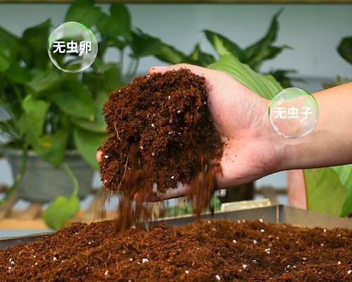 如何为盆栽配制自制土壤肥料？有哪些好处？