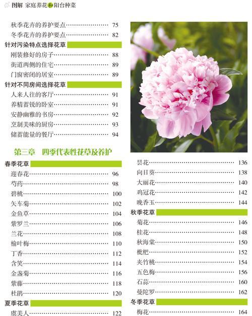 馒头柳树盆景养护指南：怎样才能养出健康枝条？