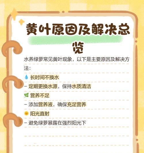 家养绿萝叶子发黄的处理方法？