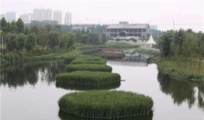 鱼塘适合种植哪些水生植物？