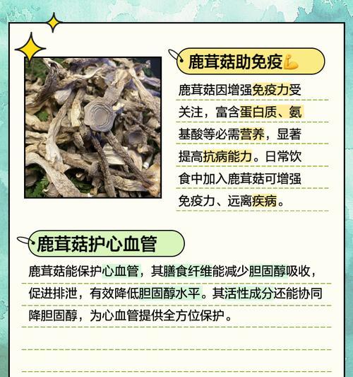鹿茸菇的栽培技术有哪些？具体方法是什么？