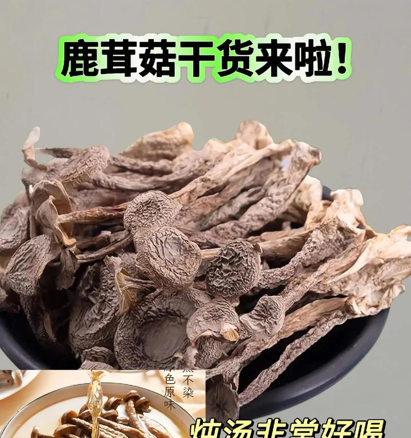 鹿茸菇的栽培技术有哪些？具体方法是什么？