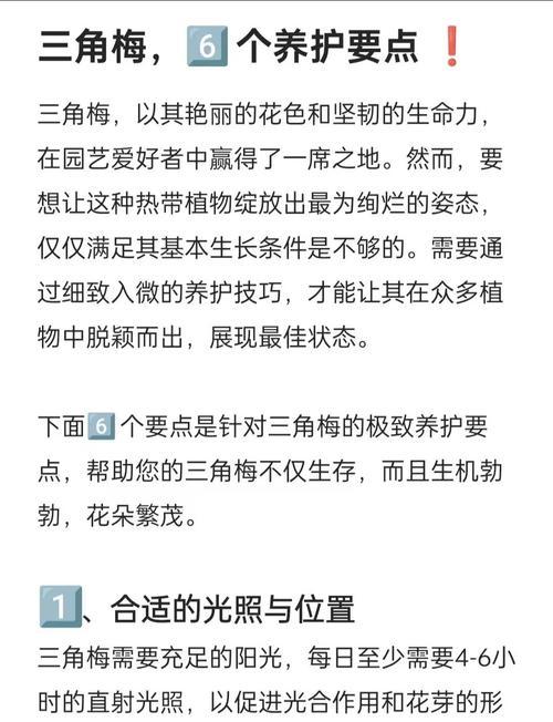 三角梅生长缓慢的解决办法是什么？